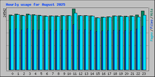 Hourly usage for August 2025