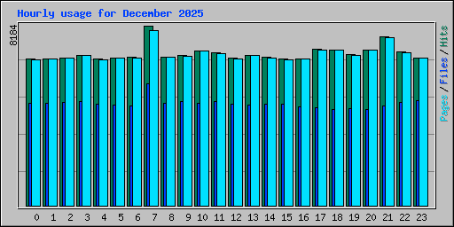 Hourly usage for December 2025