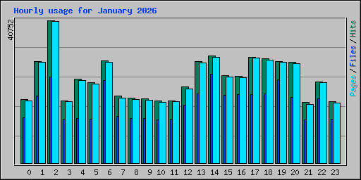 Hourly usage for January 2026