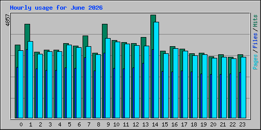 Hourly usage for June 2026