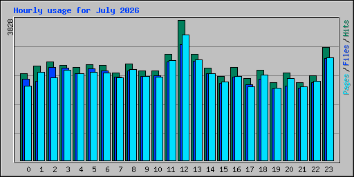 Hourly usage for July 2026