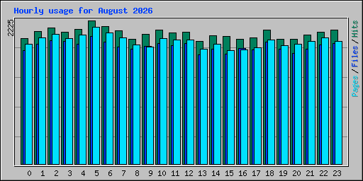 Hourly usage for August 2026