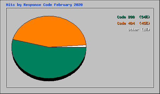 Hits by Response Code February 2020